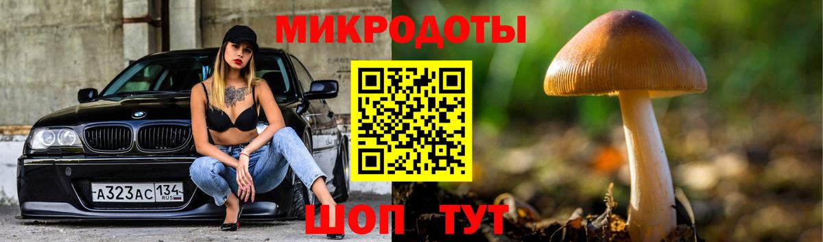 Псилоцибиновые грибы прущие грибы Заволжье